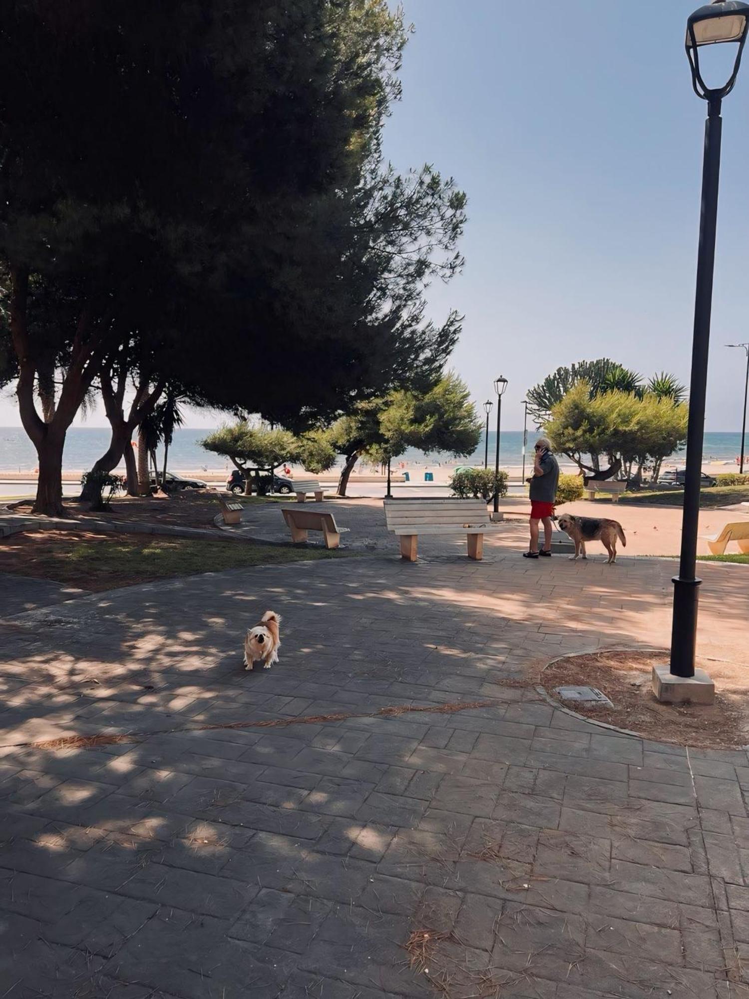 50 Pasos Hacia El Mar Apartman El Campello Kültér fotó